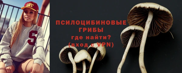 ГАЛЛЮЦИНОГЕННЫЕ ГРИБЫ Ладушкин