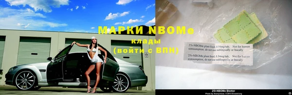 гидропоника Дедовск
