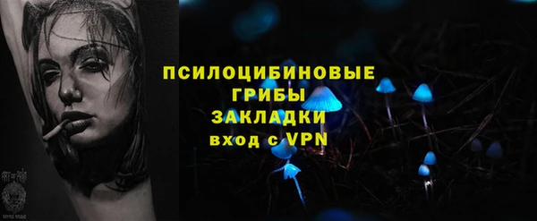 ГАЛЛЮЦИНОГЕННЫЕ ГРИБЫ Ладушкин